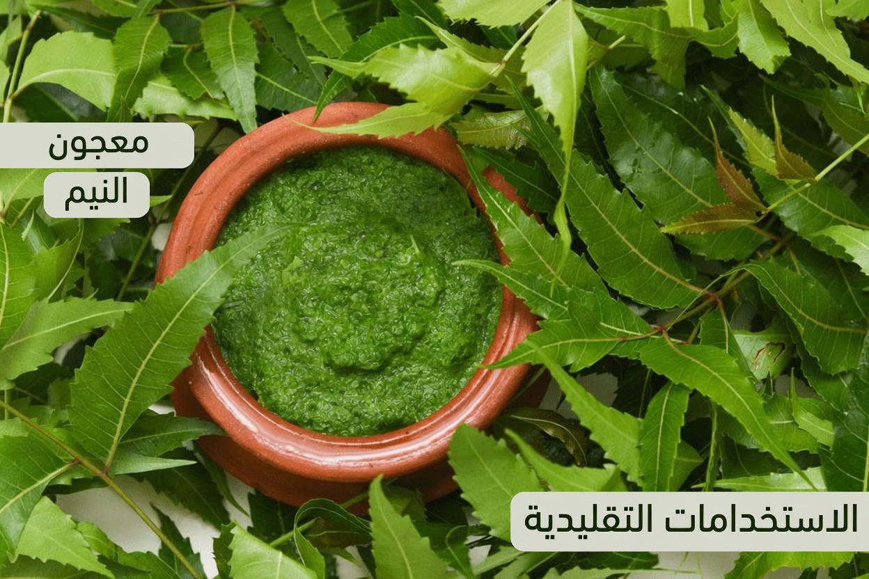 اكتشاف أوراق النيم: استكشاف الاستخدامات التقليدية لهذا العشب من جنوب شرق آسيا في روتينات العافية اليومية