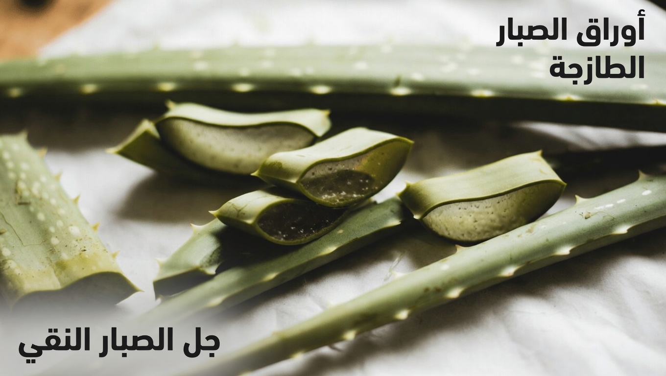 اكتشف القوة الطبيعية للألوفيرا: نصائح للعافية اليومية وصحة البشرة والعناية بالعينين