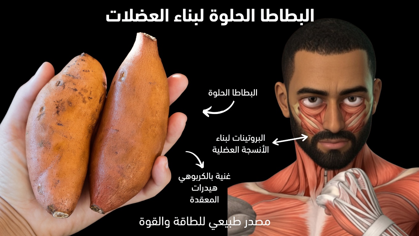 ماذا يحدث لجسمك عندما تأكل البطاطا الحلوة يومياً: التغذية، الفوائد، والمخاطر