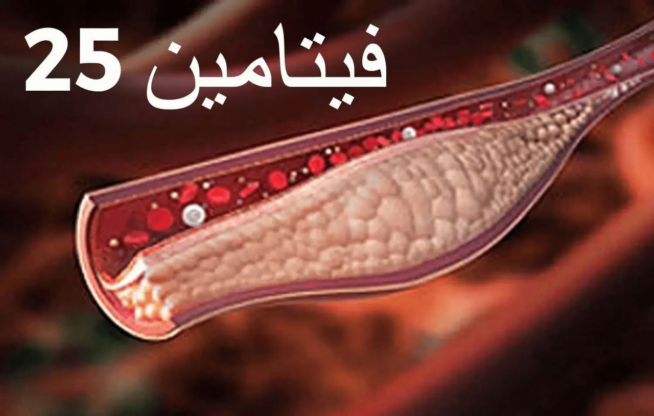 اكتشف 7 فيتامينات أساسية مدعومة بالأبحاث قد تساعد في الحفاظ على صحة الشرايين وتدفق الدم بشكل طبيعي