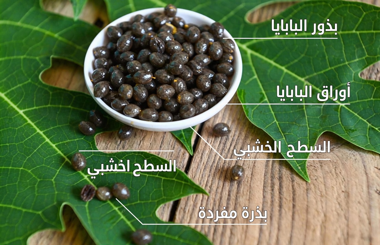 اكتشاف بذور البابايا: لماذا تستحق نظرة ثانية وكيف تدمجها في روتينك