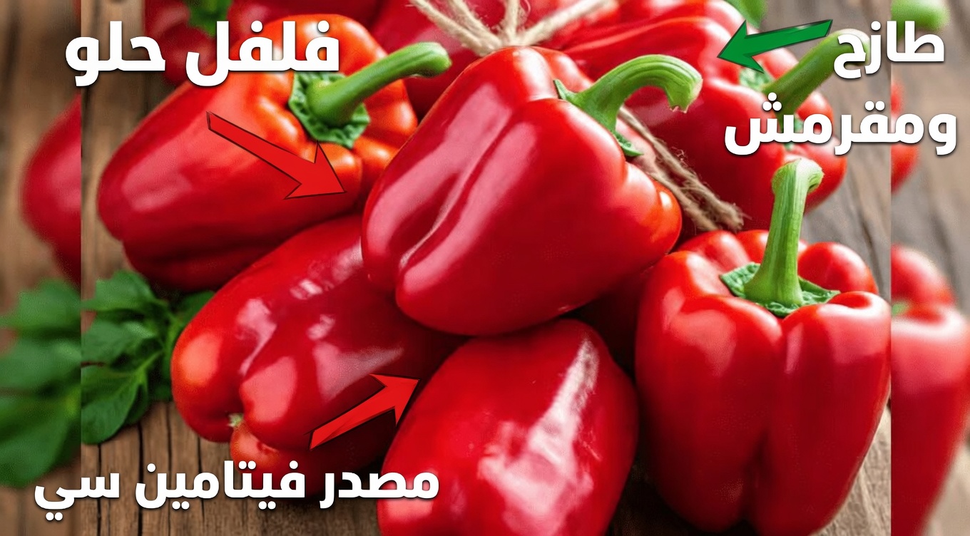 هل تساعد عاداتك اليومية وأطعمتك في دعم صحة كليتيك بشكل طبيعي؟ اكتشف طرقًا بسيطة لتعزيز وظائف الكلى بشكل أفضل