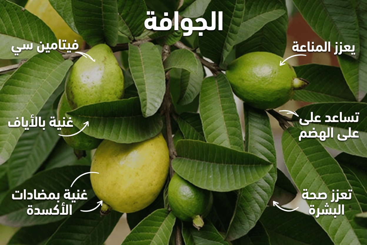 استكشاف العناية الطبيعية بالفم: كيف يمكن لأوراق الجوافة أن تدعم ابتسامة أكثر إشراقًا وأسنانًا أكثر صحة