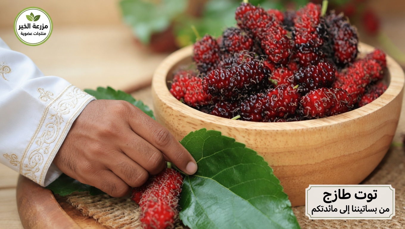 عادة شرب شاي أوراق التوت لتحقيق التوازن الأيضي: طريقة طبيعية لدعم سكر الدم وضغطه والدورة الدموية