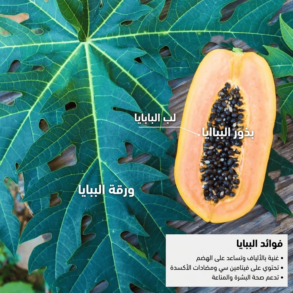 بذور البابايا لتخفيف آلام المفاصل: عادة يومية بسيطة لدعم راحة الركبة والظهر والعمود الفقري بشكل طبيعي
