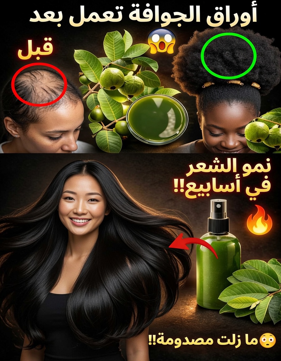 استكشاف أوراق الجوافة: خيار طبيعي لدعم صحة الشعر ونموه