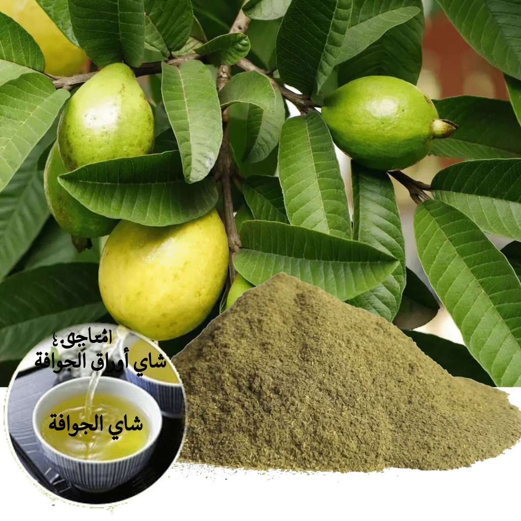 استكشاف أوراق الجوافة: خيار طبيعي لدعم صحة الشعر ونموه