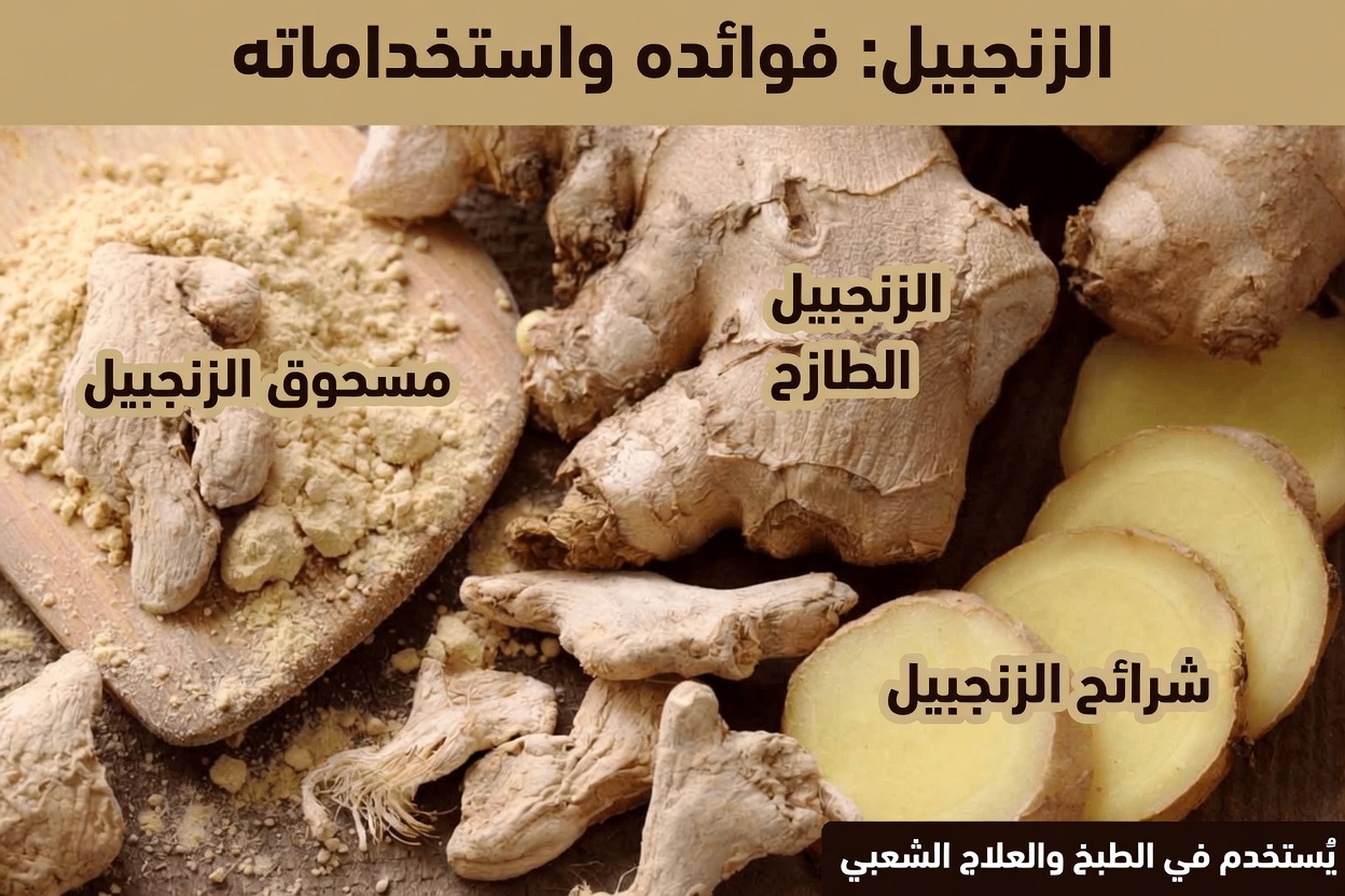 6 أعشاب قوية قد تدعم عافيتك العامة بشكل طبيعي