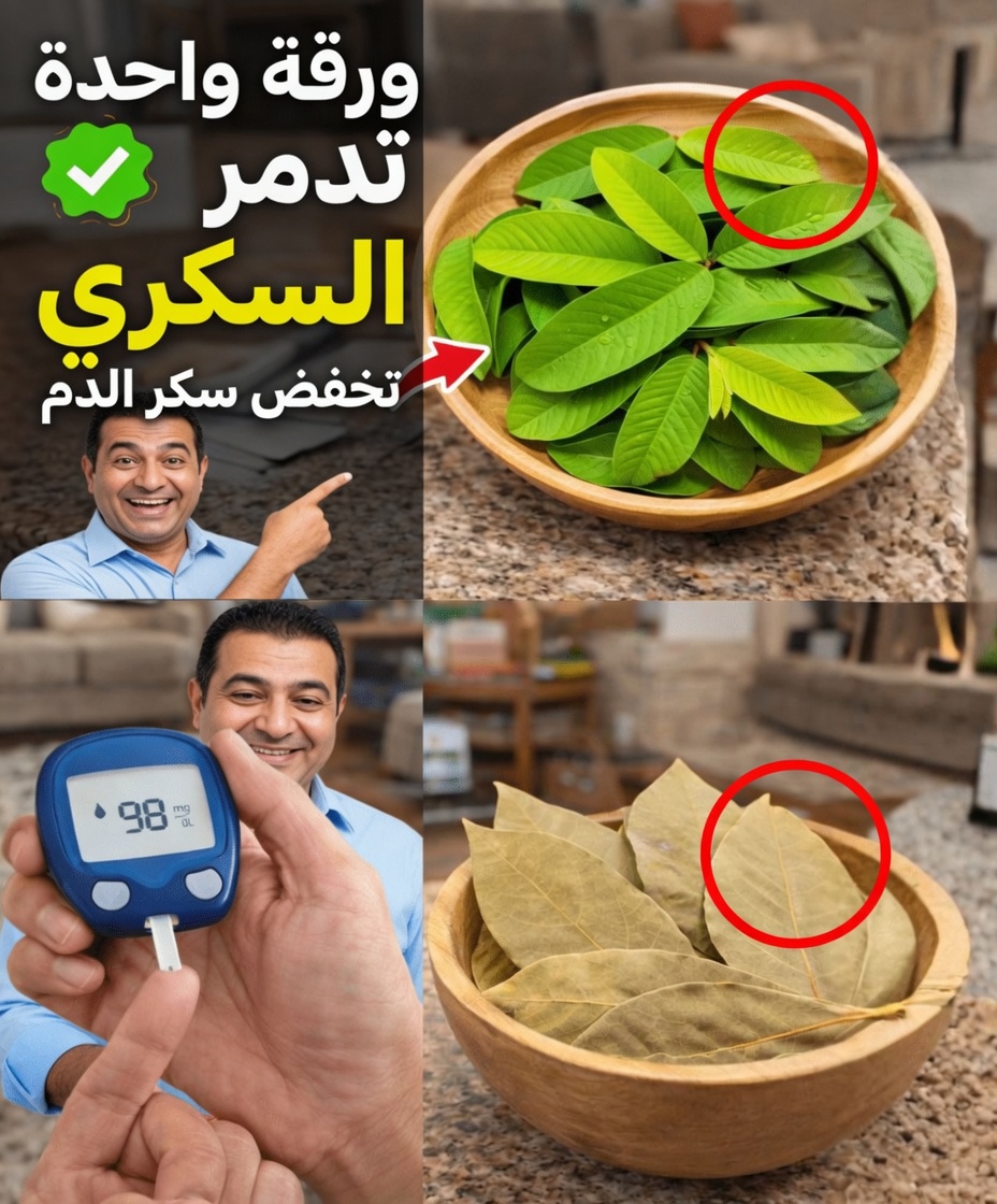 ورقة واحدة تخفّض سكر الدم وتذيب الدهون وتُنظّف الشرايين بسرعة — العلم المذهل وراء القوّة الخفية في الطبيعة