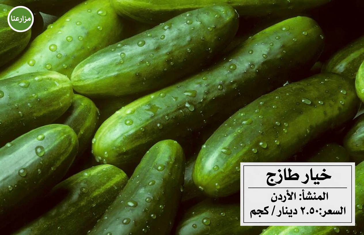ما هي الأطعمة النيئة اليومية السبعة التي كان الدكتور نورمان ووكر يضمّنها يوميًا من أجل حيوية مدى الحياة؟ رؤى لكبار السن