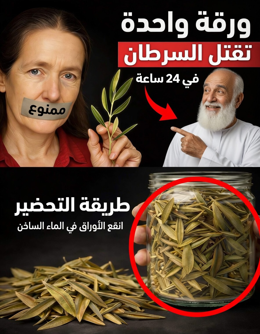 اكتشاف حلفاء الطبيعة الخفيّين: 15 عادة نمط حياة قد تدعم دفاعات جسمك الطبيعية ضد خطر الإصابة بالسرطان