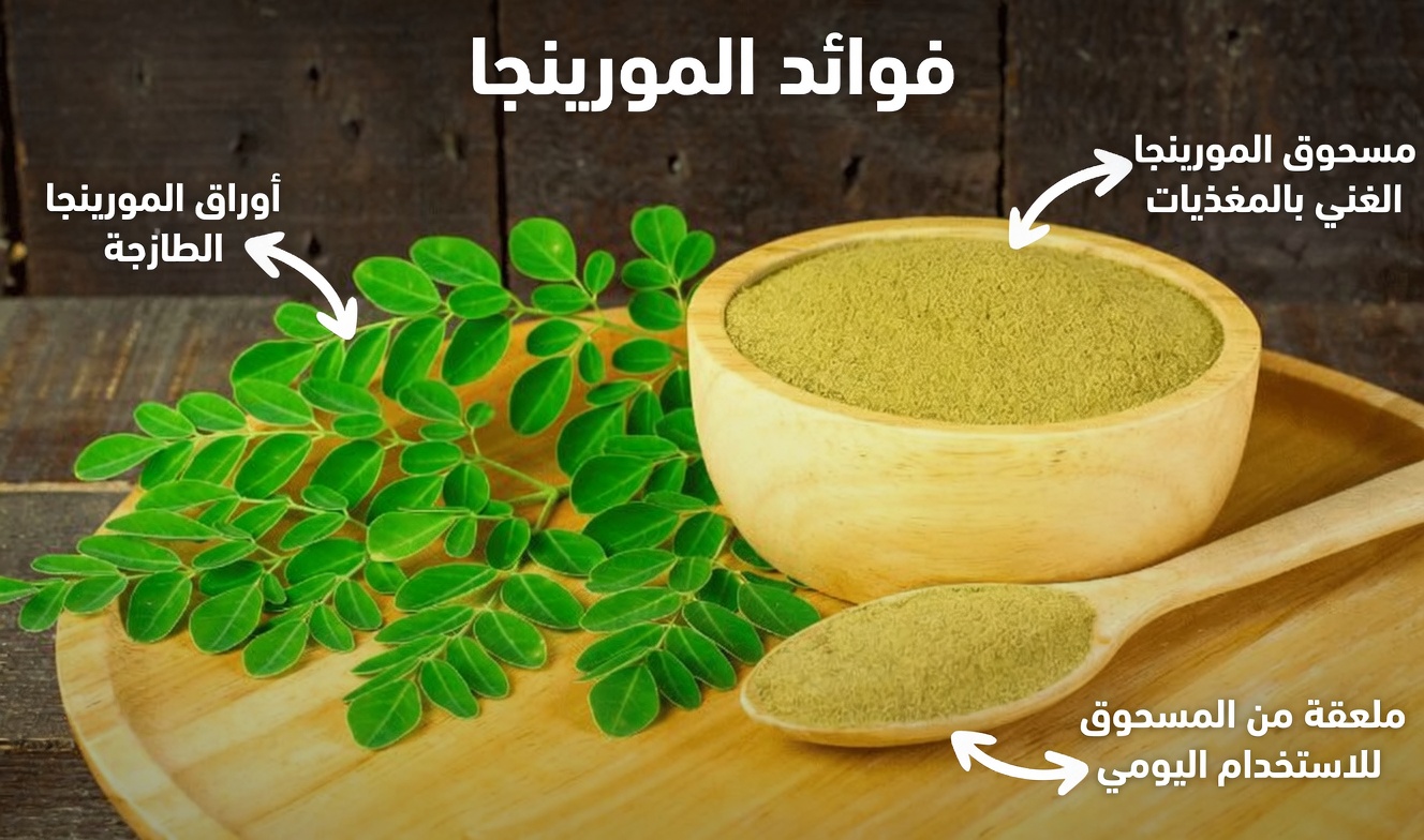 اكتشاف حلفاء الطبيعة الخفيّين: 15 عادة نمط حياة قد تدعم دفاعات جسمك الطبيعية ضد خطر الإصابة بالسرطان