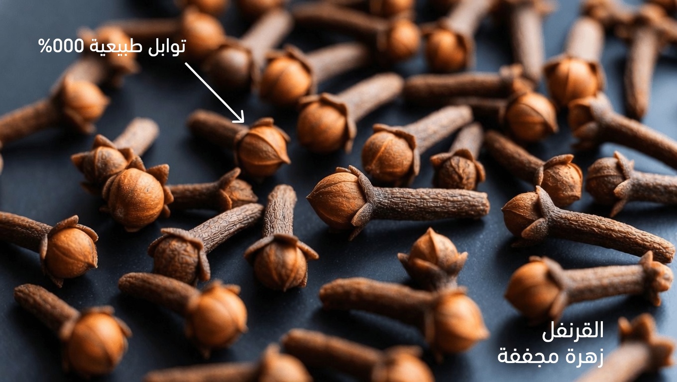 7 نصائح مفيدة حول القرنفل يجب أن يعرفها الجميع: اكتشف قوة الطبيعة الصغيرة من أجل العافية اليومية