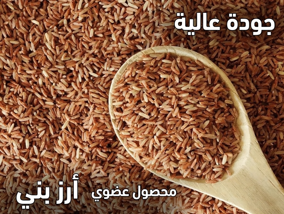 الأطعمة الطبيعية لدعم صحة غضروف الركبة: احمِ مفاصلك بذكاء