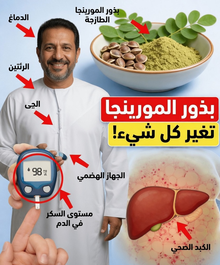 10 طرق قوية قد تدعم بها بذور المورينغا صحتك – كنز غذائي مهمل من الطبيعة