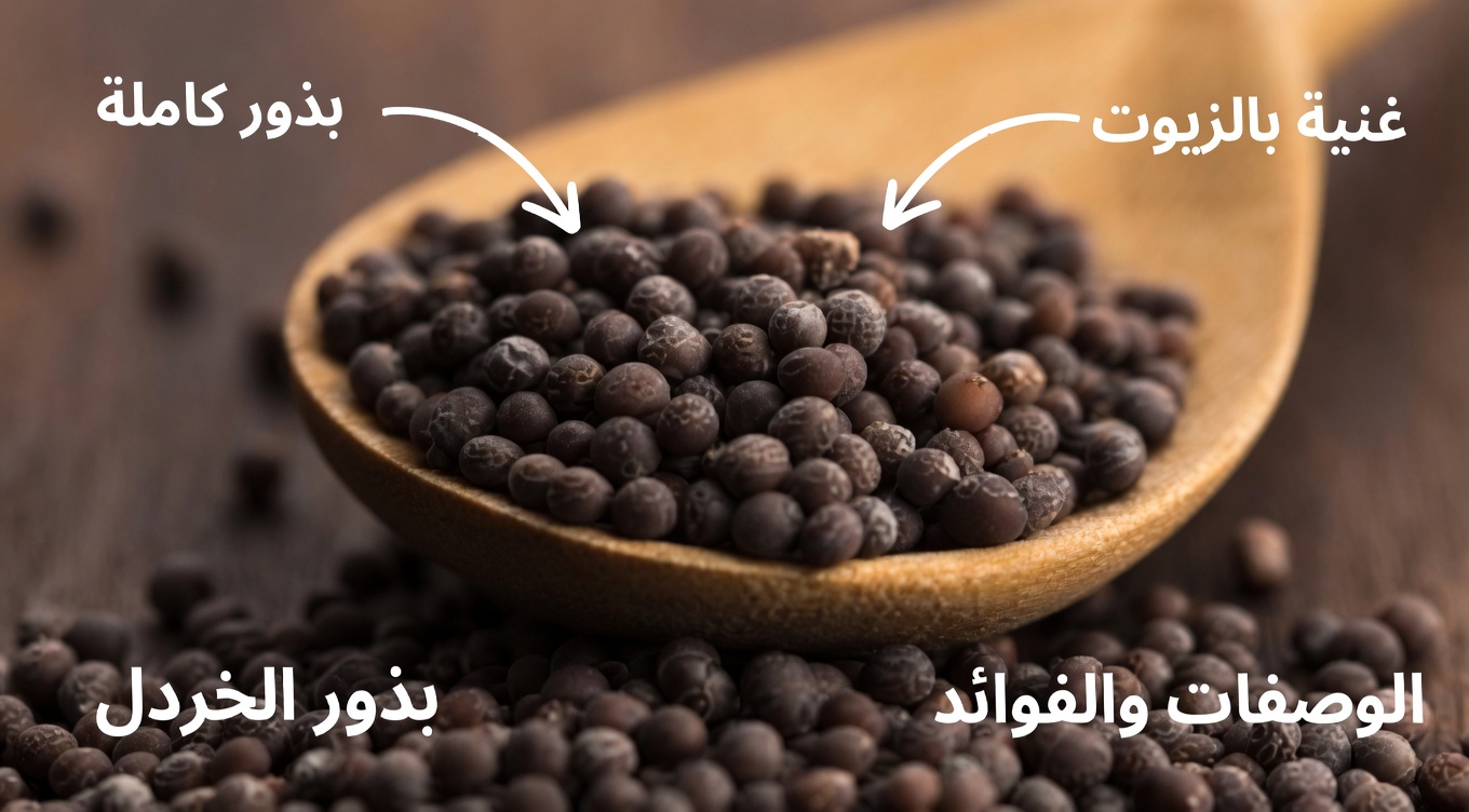 هل يمكن لبذور الخردل دعم صحة العين والشبكية بعد سن الستين؟ دليل تغذية عملي لكبار السن