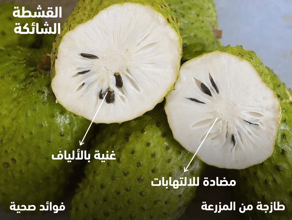 القشطة الشائكة لكبار السن: استكشاف الفوائد الصحية المحتملة لهذه الفاكهة الاستوائية لدعم العافية العامة