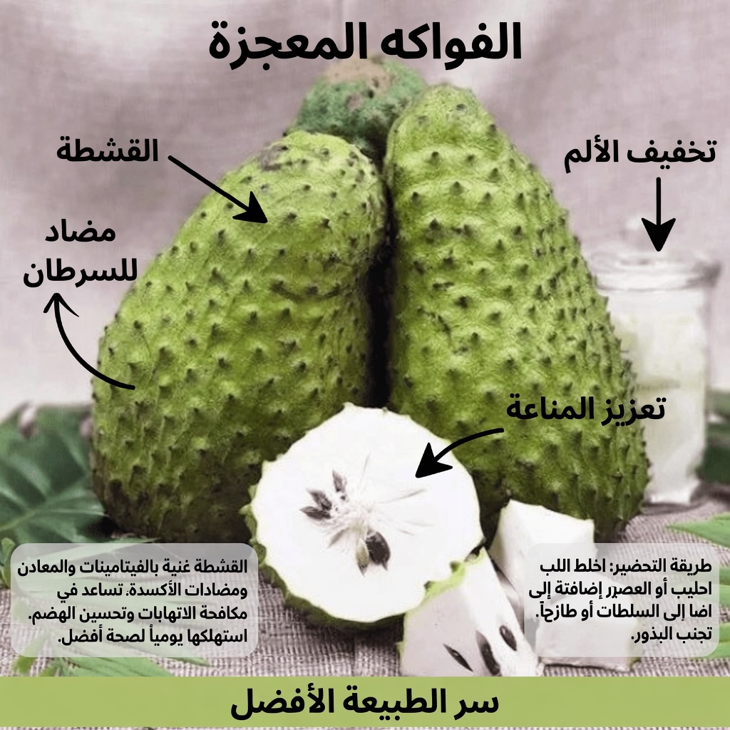 القشطة الشائكة لكبار السن: استكشاف الفوائد الصحية المحتملة لهذه الفاكهة الاستوائية لدعم العافية العامة