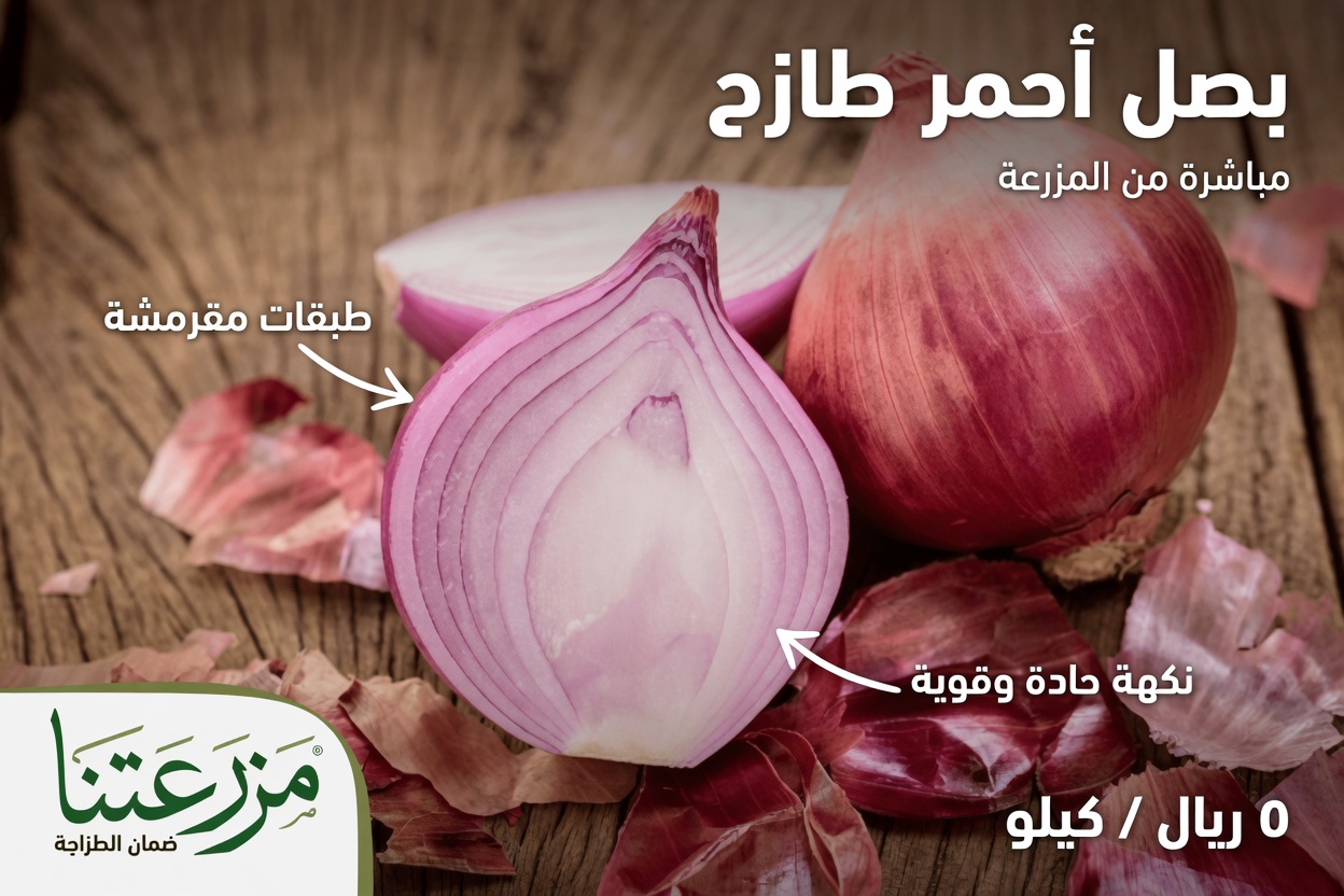 كيف يمكن لوصفات البصل الأحمر أن تدعم مستويات سكر الدم الصحية وصحة القلب ضمن العادات اليومية