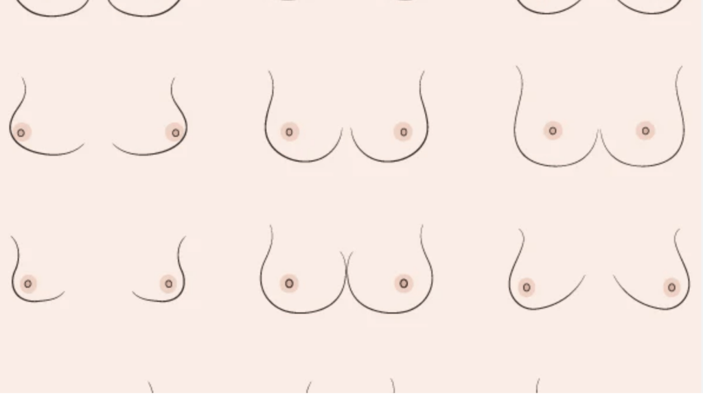 ماذا تشير إليه الثديان الصغيران حقًا بشأن الصحة والهرمونات والثقة بالجسد لدى النساء: شرحٌ مفصل