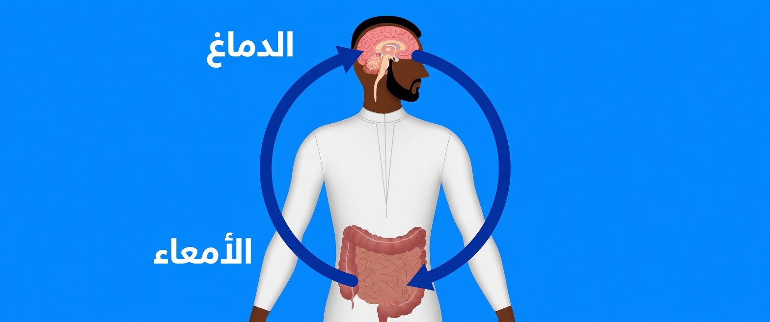 لماذا تحتاج إلى التبرز فورًا بعد تناول الطعام وما الذي يعنيه ذلك حقًا لصحة جهازك الهضمي