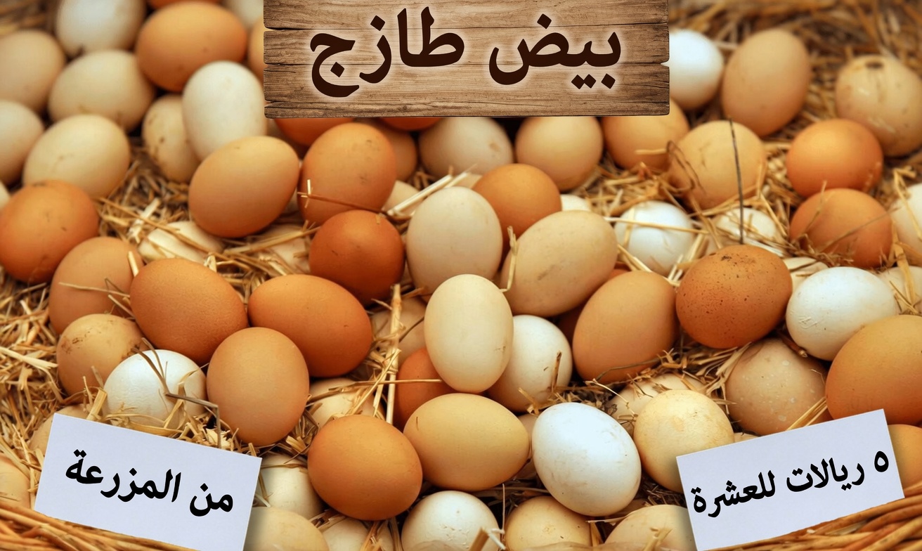 أكثر من 60 عامًا وتقلق بشأن فقدان العضلات؟ إليك أطعمة فائقة وعادات يومية تدعم القوة بشكل طبيعي