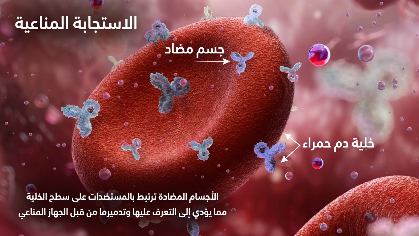 ما فصيلة الدم المرتبطة بأقل خطر للإصابة بالسرطان وماذا يعني ذلك حقًا لصحتك