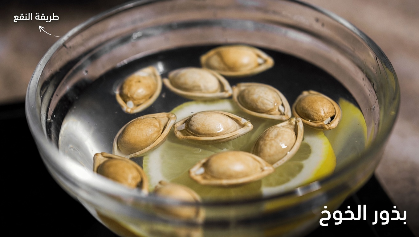 8 أخطاء شائعة في تناول بذور اليقطين قد تحد من فوائدها الغذائية