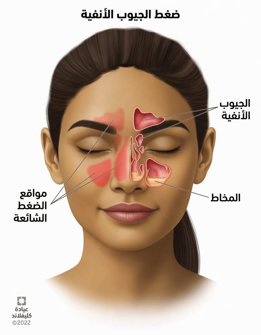 قوة استنشاق بخار القرنفل: طريقة طبيعية لدعم راحة الجهاز التنفسي