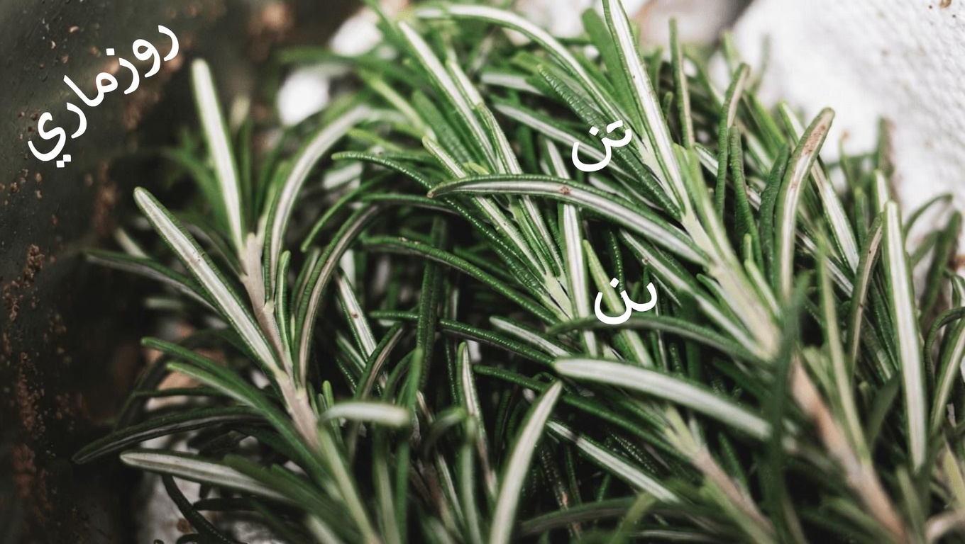 3 طرق عملية لدمج إكليل الجبل لشعر أكثر صحة وكثافة مظهرًا