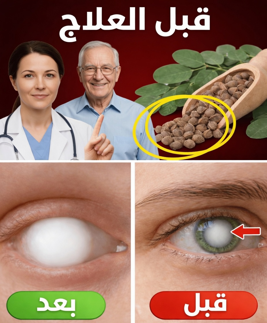 12 طريقة مفاجئة يمكن أن تدعم بها بذور المورينغا روتينك الصحي ونادرًا ما يذكرها معظم الأطباء