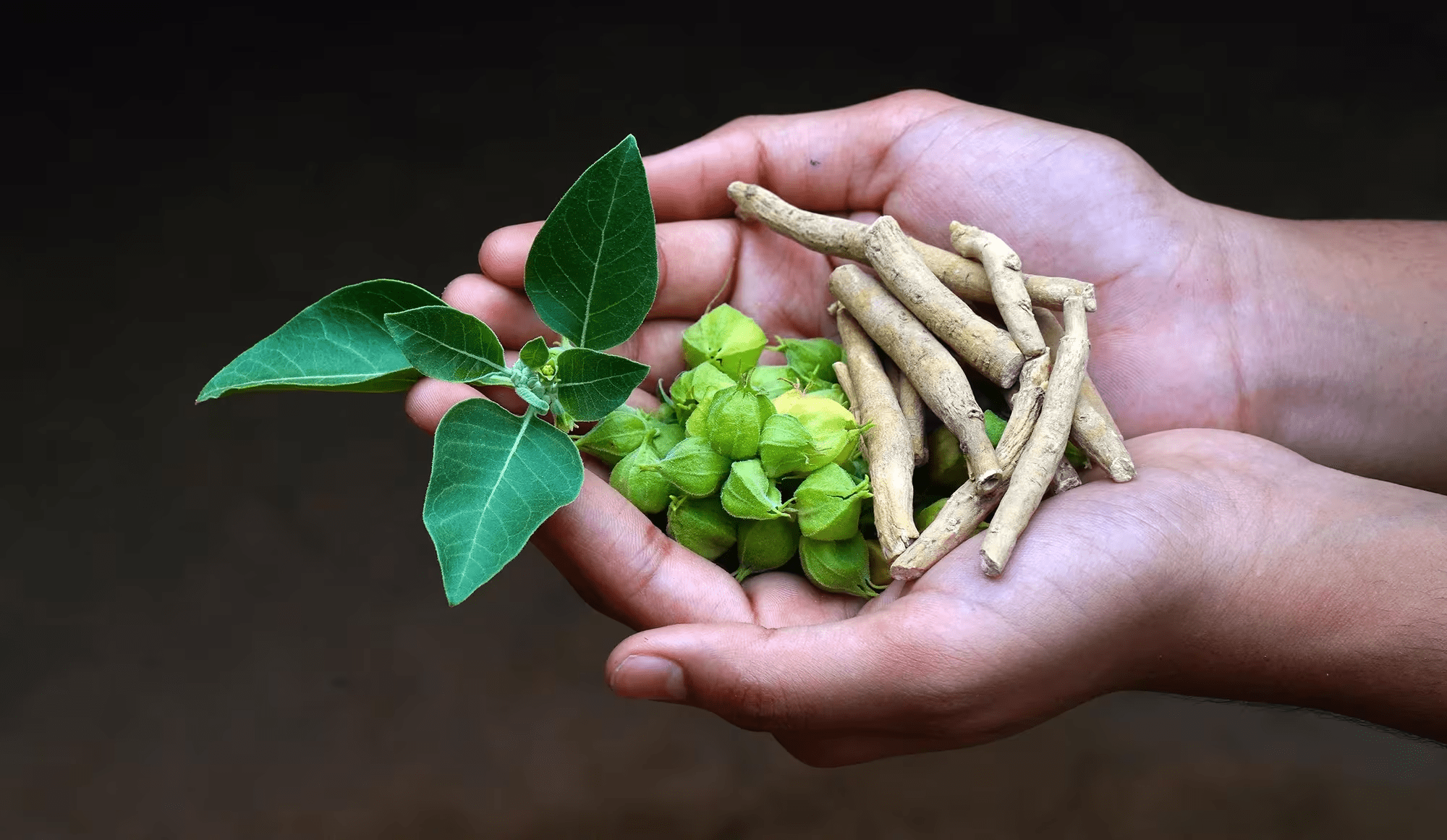 لماذا يجذب هذا الطقس الصباحي القديم اهتمام الرجال الساعين إلى الحيوية والطاقة اليومية