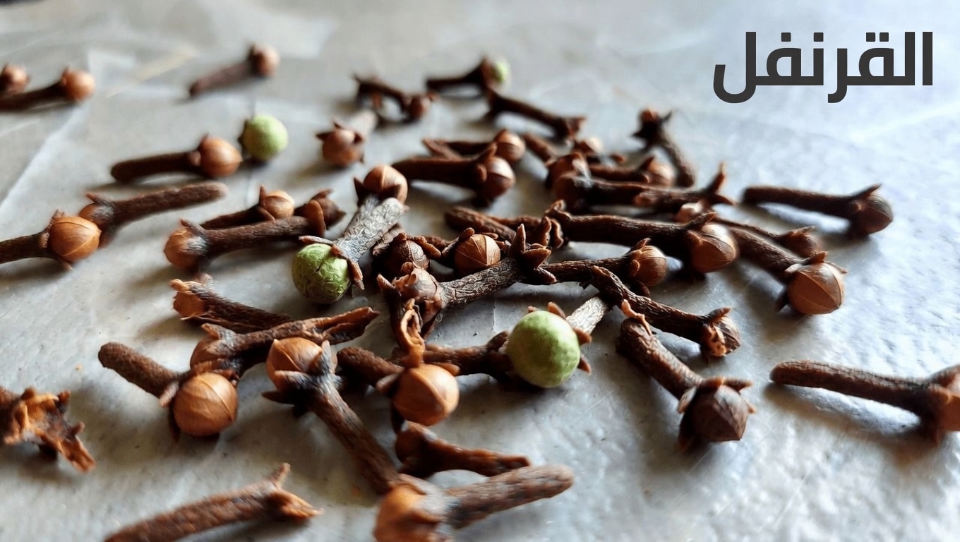 مضغ حبتين من القرنفل يوميًا: استكشاف الفوائد الصحية المحتملة لهذه التوابل اليومية