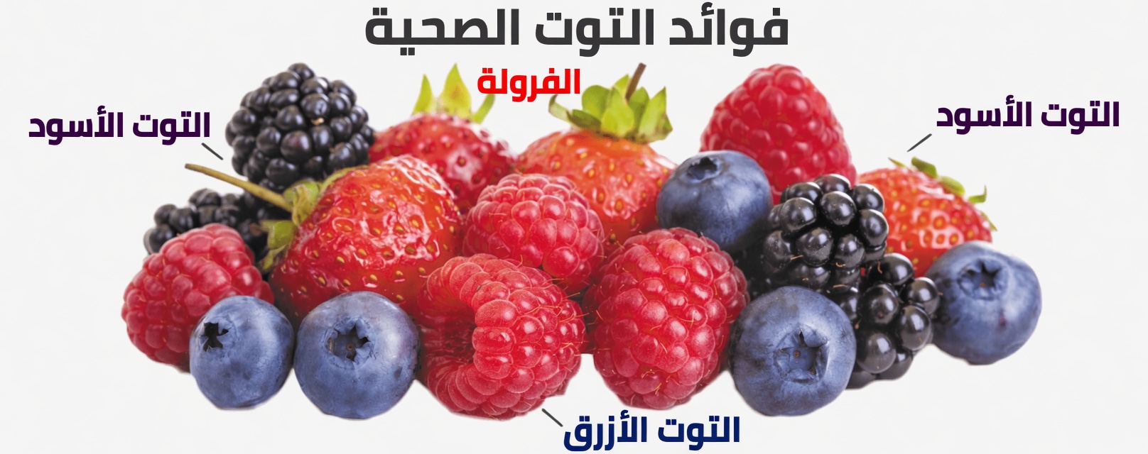 أطعمة بسيطة يوصي بها حائز جائزة نوبل البالغ من العمر 96 عامًا لدعم صحة الدماغ مع التقدم في السن