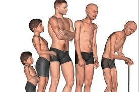 الساركوبينيا: فهم فقدان العضلات بعد سن الخمسين وطرق بسيطة للبقاء قويًا