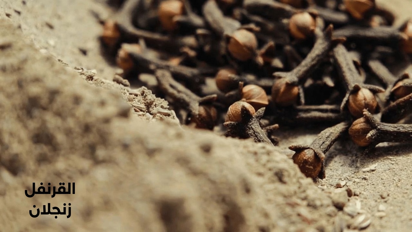 القرنفل وبذور الكتان: استكشاف ثنائي طبيعي بسيط لراحة هضمية يومية