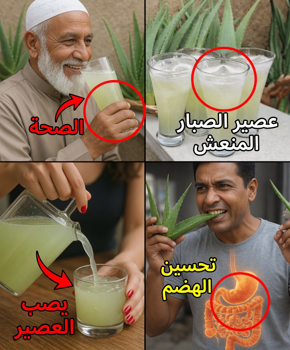 الفوائد الصحية للألوفيرا: حليف الطبيعة المهدّئ للبشرة والهضم