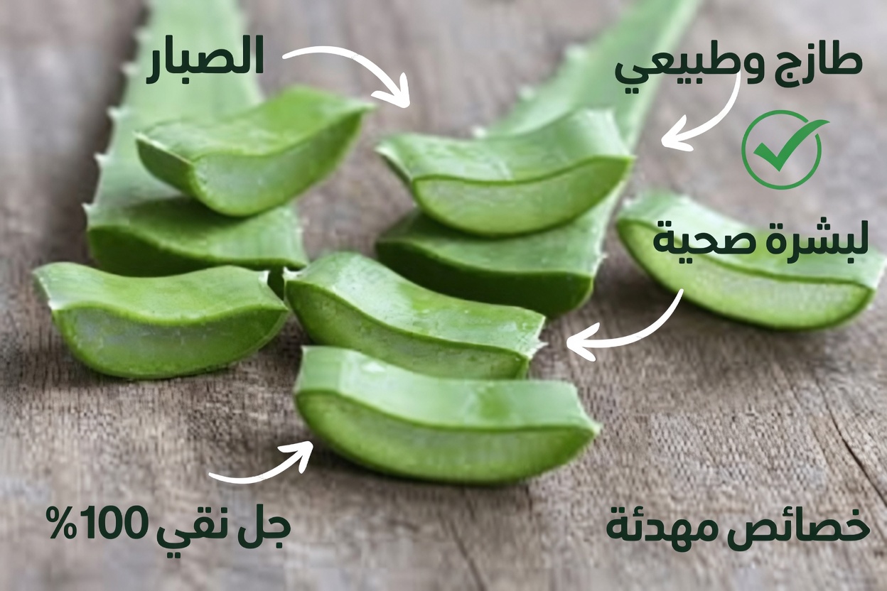 الفوائد الصحية للألوفيرا: حليف الطبيعة المهدّئ للبشرة والهضم