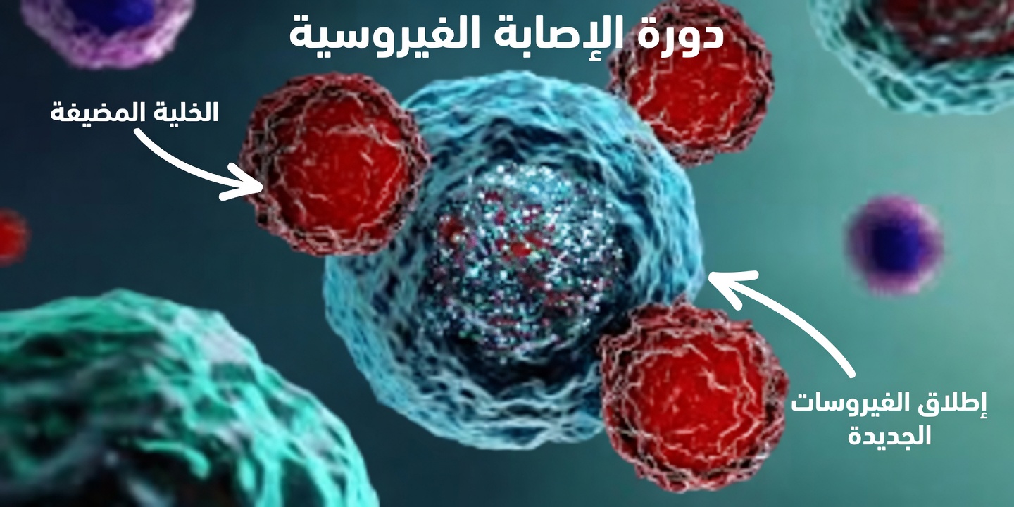 هل يمكن لهذا النهج البحثي الجديد أن يغيّر فهمنا لخلايا سرطان القولون؟