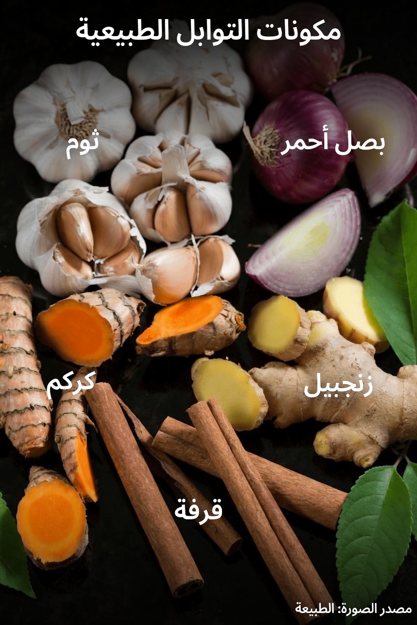 ابدأ يومك بقوة واختمه بهدوء: طقس بسيط لشاي الأعشاب صباحًا وبعد العشاء مع الثوم والكركم والبصل والزنجبيل والقرفة وأوراق الجوافة