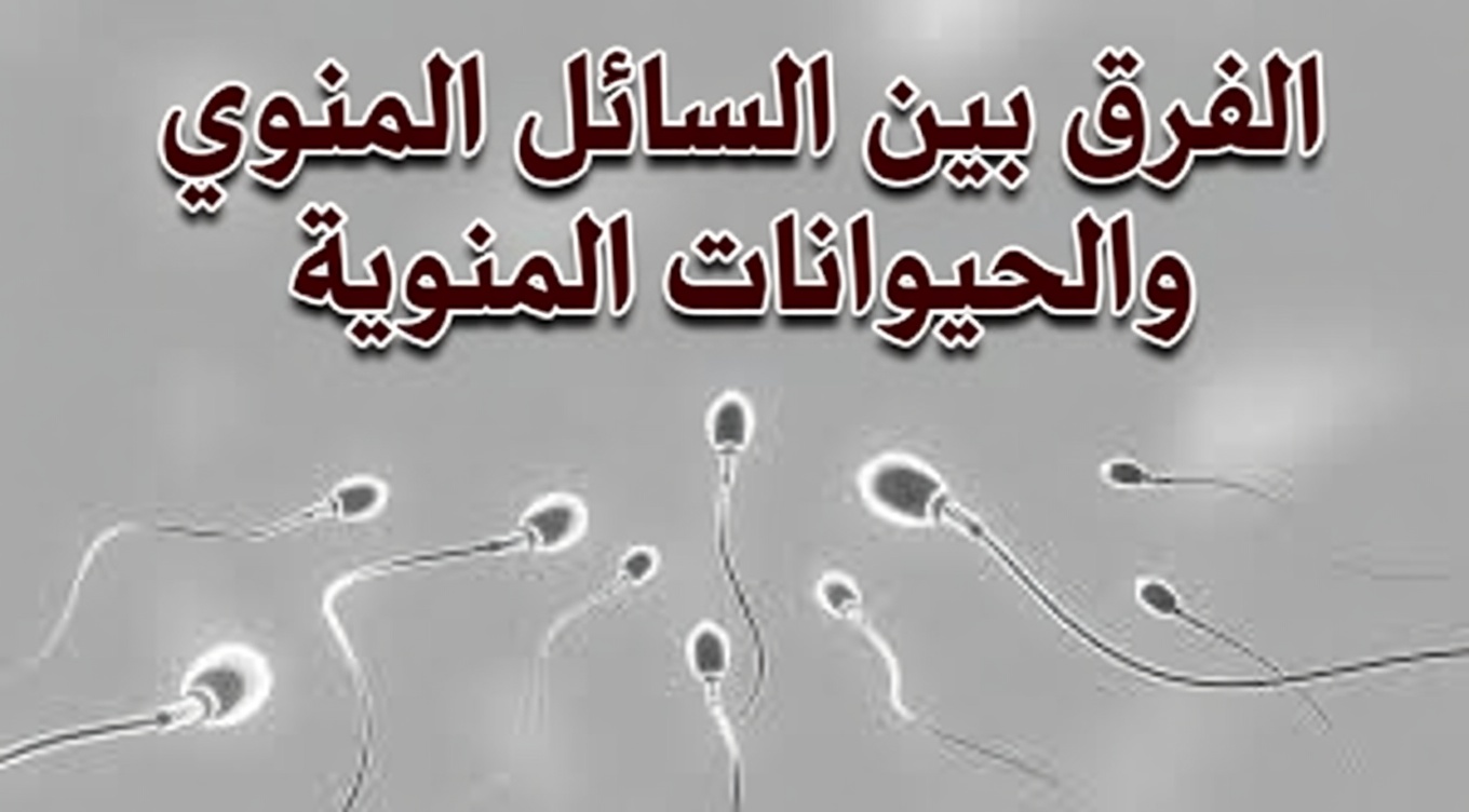السائل المنوي مقابل الحيوانات المنوية: فهم الفروق الرئيسية وما يعنيه ذلك لصحة الرجال