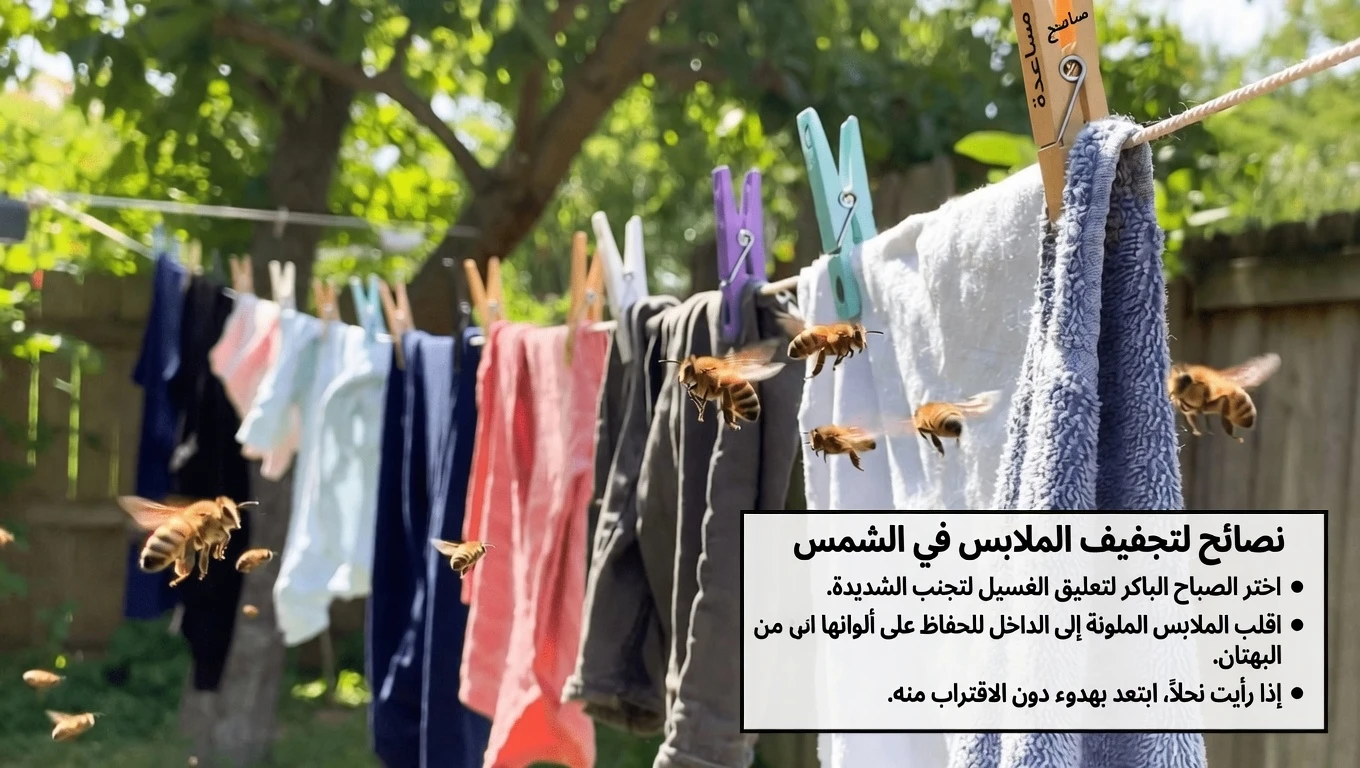 لماذا تواصل النحل الهبوط على غسيلك المعلّق حديثًا؟ تفسيرات بسيطة ونصائح سهلة