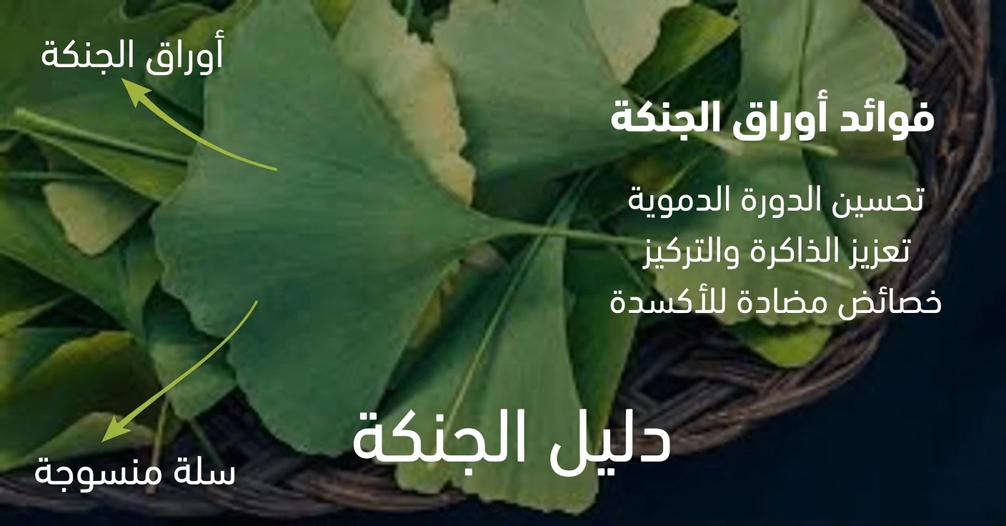 5 أوراق يومية قد تساعد في دعم صحة عينيك بشكل طبيعي