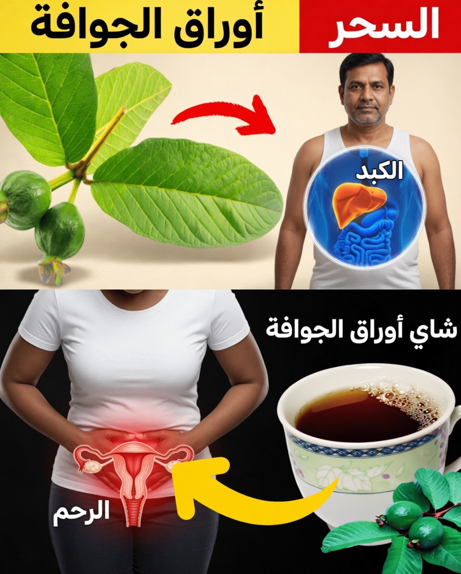 17 طريقة مفاجئة قد تدعم بها أوراق الجوافة عافيتك بعد سن الأربعين – خيار طبيعي مُغفل عنه