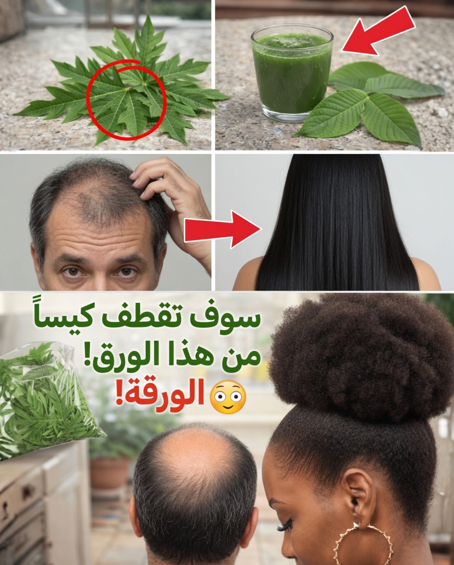 استكشاف إمكانات أوراق البابايا لصحة الشعر: ما الذي تشير إليه الأبحاث العلمية