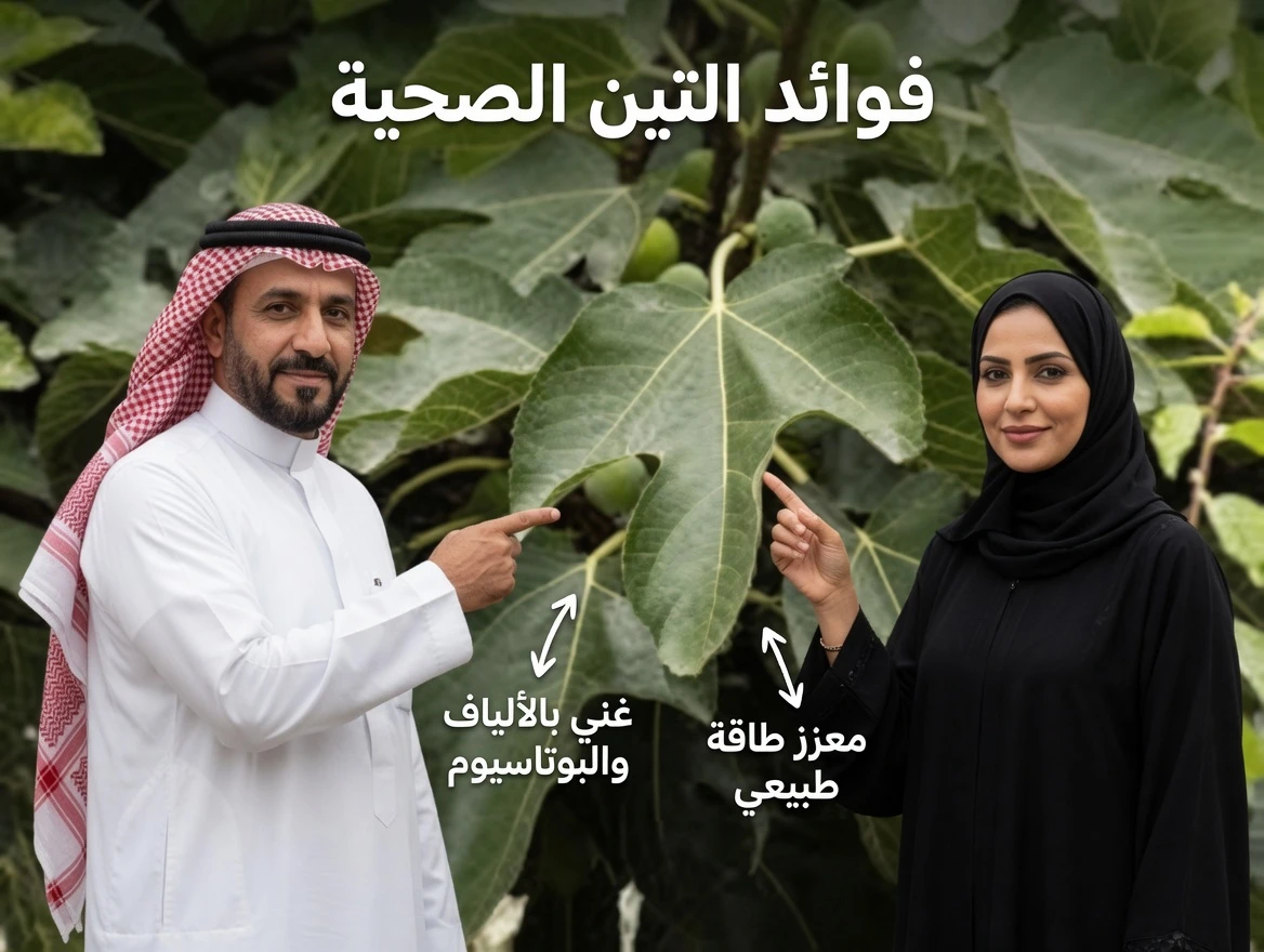 الفوائد الصحية المفاجئة لأوراق التين: ماذا يقول العلم عن هذا الجزء النباتي المُهمَل