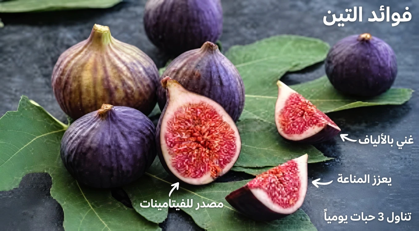 الفوائد الصحية المفاجئة لأوراق التين: ماذا يقول العلم عن هذا الجزء النباتي المُهمَل