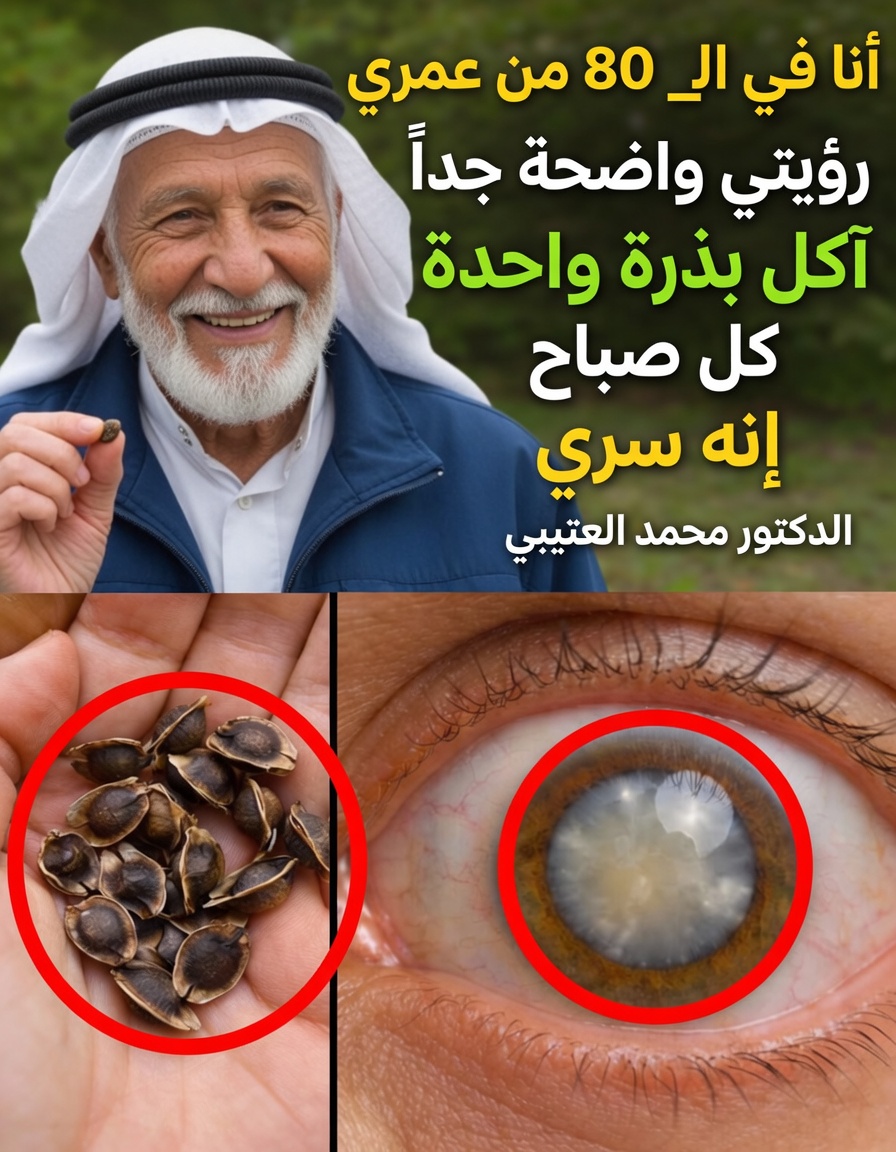 حتى لو تجاوزتَ التسعين؟ جرّب إضافة هذه البذور الثلاث إلى روتينك الصباحي لدعم العين والدماغ (نصائح مدعومة علميًا + عادة بسيطة)
