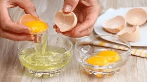 دور البروتين في صحة الكلى