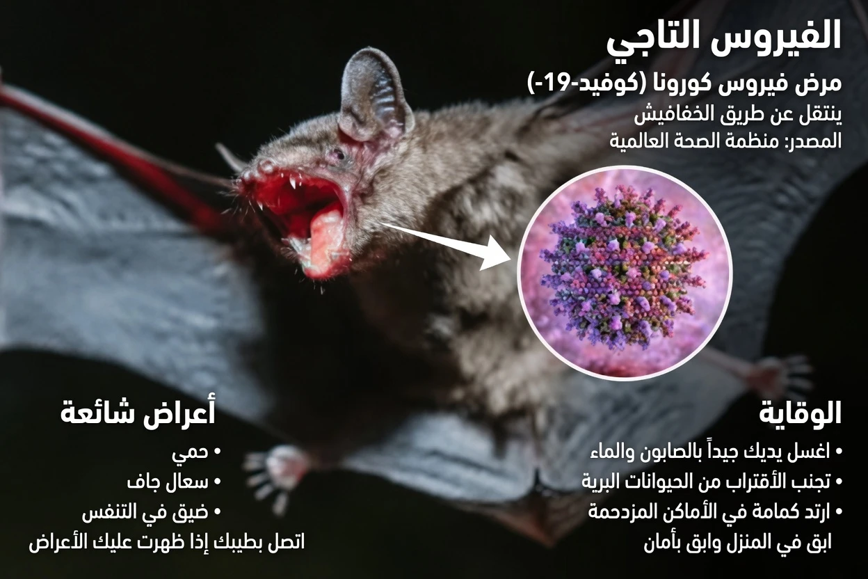 فيروس خفي لدى الخفافيش أُسيء التعرف عليه على أنه نيباه القاتل: ما الذي تحتاج إلى معرفته عن مخاطر الأرثوريوفيروس أورثوريوفيروس الخفافيش (Pteropine Orthoreovirus)